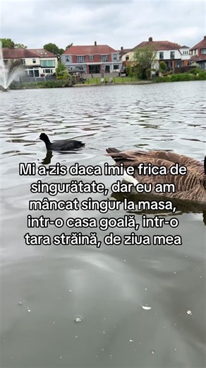 Anabevincucana (@margareta_lu_toppr)’s videos with оригинальный звук - Crazy Berry