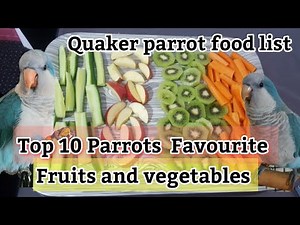 Top 10 Healthiest Quaker Parrot Food List | Parrot Eating Fruits & Vegetables 🍎🌽