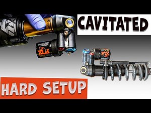 Fox X2 Family DRAMA STORY