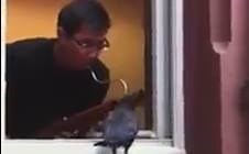 A very special duet | Animal Cognition