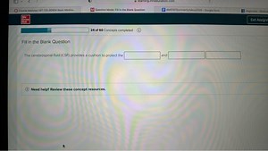 The cerebrospinal fluid (CSF) provides a cushion to protect the... | Filo