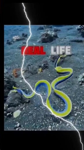 free fire Real Life Gaming Life #shortsfeed