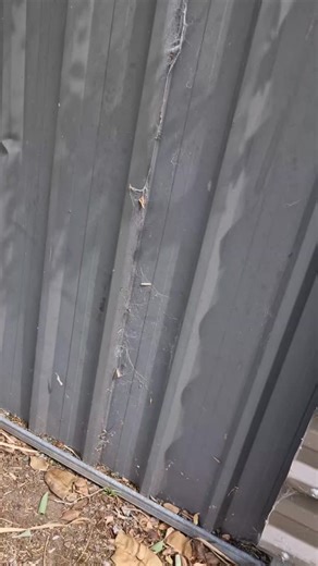 part 3 spraying for spiders hiting the fence line where spiders dwell. if you like more content like this hit the like share and follow🕸🕷 #spiders #dayinthelife #explore #instagrowth #marketing #insights #fyi #viral #protips #hacks | Mek pest and lawns services