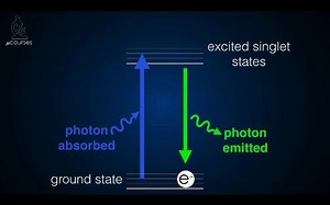 Fluorescence Filters_ Choosing a Filter Set 荧光滤光片及如何选择