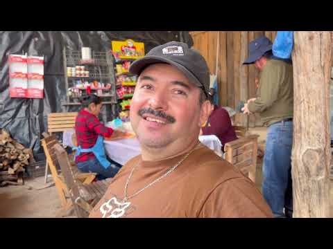 Talpa 2026 | GUAYABOS - DON CARLOS - BOSQUE DE JACALES