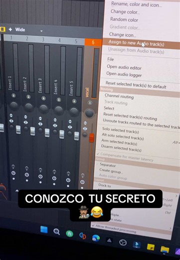 Conozco tu SECRETO #flstudio 🕵🏽‍♂️ Aprende a crear canales de grabacion en FL Studio. 😎🎶 . . . . . . #productormusical #BeatMaker #secretosdeproducción #conozcotusecreto🤡