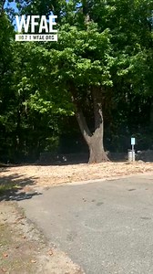 12 reactions · 3 comments | Forget Independence Hall in Philadelphia....