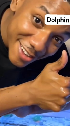 126K views · 3K reactions | Baby dolphin is so cute殺 #viral #happy #holiday #meme #farm #job | Amal Habibti | Facebook