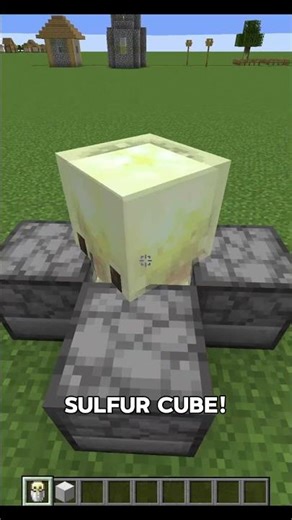 Thorns Sulfur Cube vs. WARDEN...