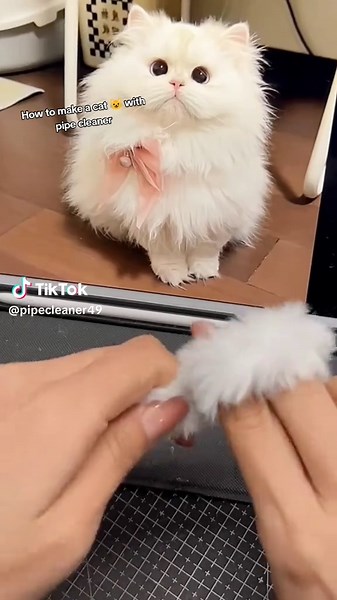 How to Make a Cat with Pipe Cleaner Art