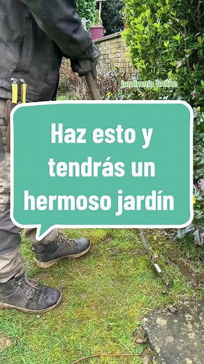 #gardening #jardineriaencasa #jardineria #paisajismo #jardineros #garden