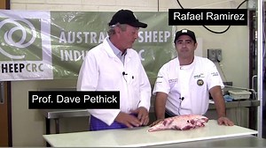 21K views · 61 reactions | Time to try a different cut and make the most of that lamb leg - this month the Butcher & the Doc show us how to separate and savour the round! | Sheep CRC | Facebook