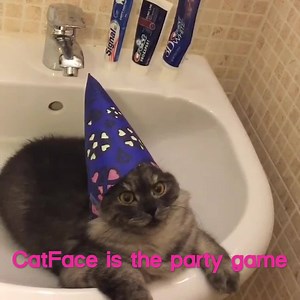 The Purr-fect Party Idea -- Cat Face is a hilarious party game that will take your holiday gatherings to the next level. 😺 | The Pet Collective