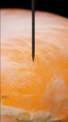 Cut Tangerine