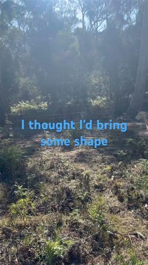 Can I get my ram to breed the sheep instead of the cows