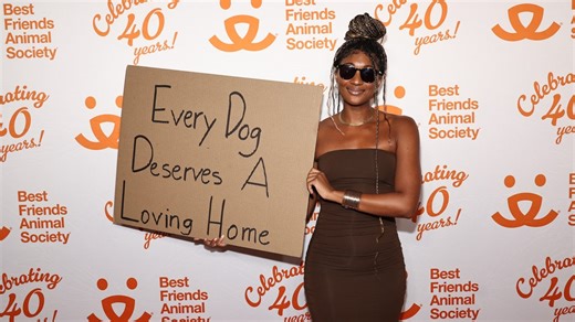15 times Dudette With Sign spoke the truth — one cardboard message at a time