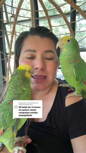 Respuesta a ZonaCreativaDenny sobre amazona de cabeza amarilla