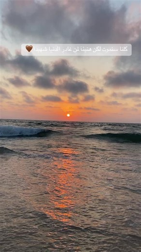 #اكسبلور #خانيونس #غزة #غزة_العزة🇵🇸 #حنعمرها🇵🇸❤️🕊️ #خانونس_البلد #تعليقات #خانونس_البلد #يالله #تعليقاتكم✨ #غزة_فلسطين_عمان_سوريا_مصر_المغرب_تركيا
