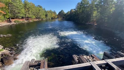 131 reactions · 4 comments | Current conditions! I can hear the salmon dropping into Grand Lake Stream. Almost four weeks of good fishing ahead!  #weatherbyslodge #fishme #maine #landlockedsalmon | Weatherby's Lodge | Facebook