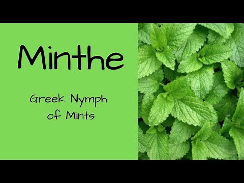 Minthe the Nymph, Greek Mythology
