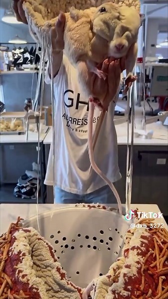 Exploring Unique Pizza Toppings at Pizza Hut