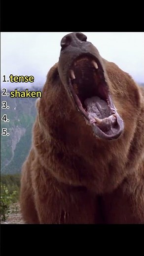 White Fang Faces a Grizzly | Courage, Survival, and Trust in the Wild