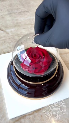 Amaury Guichon on TikTok