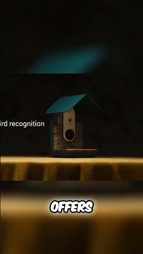 Don't Buy Bird Buddy Bird Feeder (This is why)