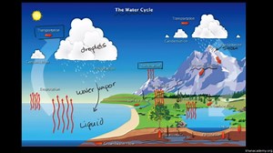 The water cycle