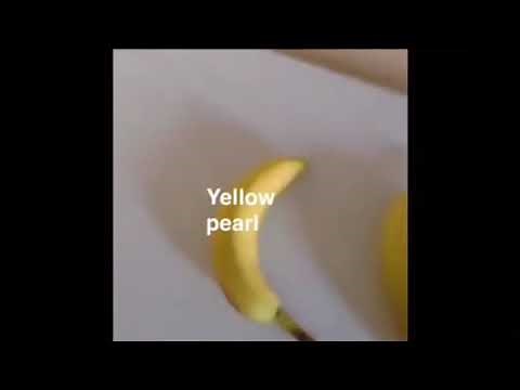 Steven Universe characters as vines