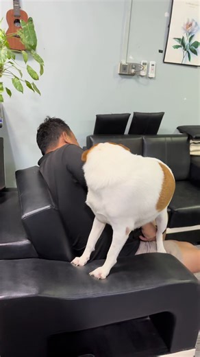 វីដេអូ​របស់ Idol Beauty Bar (PYAY) (@idol.beauty.bar.py) ជាមួយ original sound - htwe