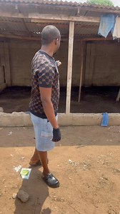 4.1K views · 55 reactions | How to produce black soldier fly maggots on a large scale and use them for animal feed | Bempet Organic Farm | Facebook