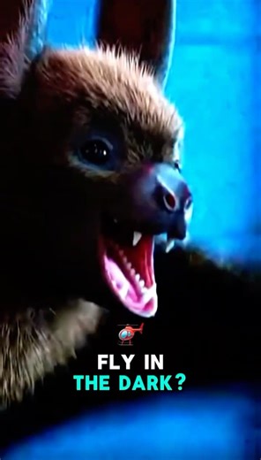Why Can BATS Fly in the DARK?! 😳🦇