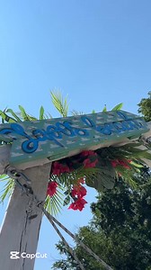 Nyár ☀️ Szeged 🩵 Tisza 🌊Megnyitott a Lapos Beach 😍 Ingyenes szabadstrand, napozás, sportolás 🤩 Ez mind adott a Tisza partján! 🌴#szeged #szegedtv #tisza #laposbeach #nyár #summer #summertime #sun | Szeged Televízió