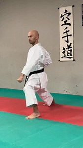 7K views · 3.2K reactions | Kata ENPI 燕飛屢  Slow sequence Ecco alcuni nomi delle tecniche di una breve sequenza del Kata Enpi  Oss! . . #shotokankarate #shotokan #karateadvanced #tsunamikaratelapaglia #enpi | Lapaglia Sensei | Facebook