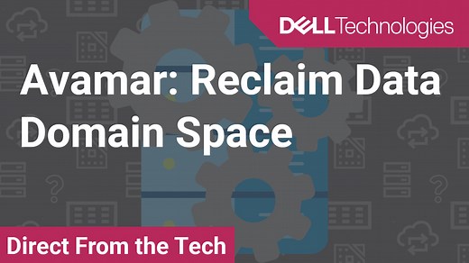 How to Reclaim Data Domain Space for Avamar