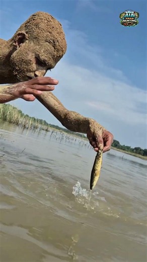 Making a Unique Fish Trap By Using Small Snake Head Fish