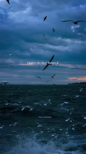 Sajde kiye hai lakhon💙🙌🏻🌸|| Sajde #ytshorts #shortsfeed #aestheticedits #explorepage