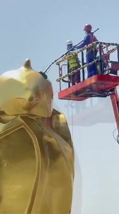 169K views · 3.1K reactions | Its time to bath ✌ | QatarSocialMedia | Facebook