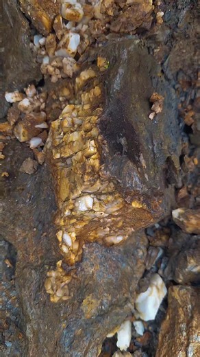 Exploring Traditional Gold Mining Techniques