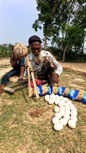 Rat hunting techniques using old devices 1 #agriculture #rathunter #animals