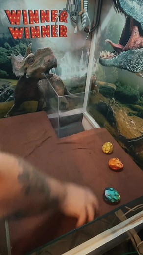 WinnerWinner on TikTok