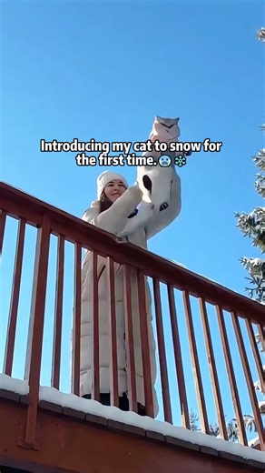 Introducing my cat to snow for the first time.#CatTok#FirstSnow#SnowDay#WinterVibes#PetTok#CuteCats
