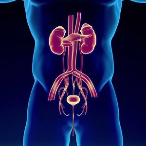 [⛑] En temps normal, l’urine est toujours (enfin plus ou moins) de couleur jaune. Dans certains cas, elle est toutefois brune, rouge, verte ou jaune fluorescent. Qu’est-ce que cela signifie et faut-il s’inquiéter ? | Futura - Inspirons l'avenir