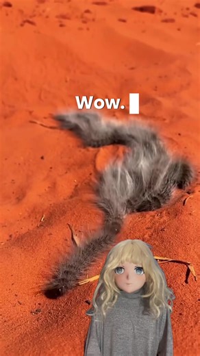 Creating Adorable Cat-Themed Kigurumi Outfits