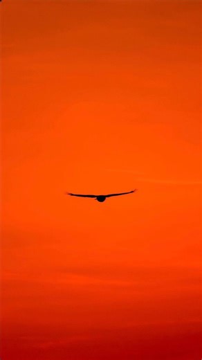 Akil wade | Wolf of AI on Instagram: "Comment “motion” below and I’ll send you the link Merry Christmas 🎄🎁 hope this is the best one yet! @higgsfield.ai #ai #aitools"