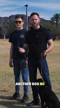 Introduce Dogs to other Dogs