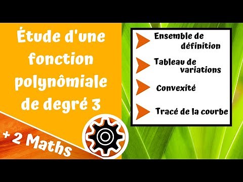 Étude complète d'une fonction polynomiale de degré 3