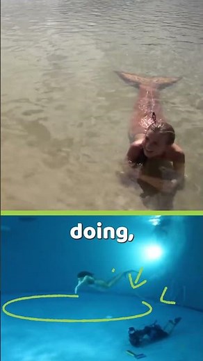 MAKO MERMAIDS BEHIND THE SCENES: Swimming with the tail #mermaids