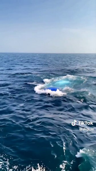 UFO Encounter Over the Ocean: Unraveling the Mystery